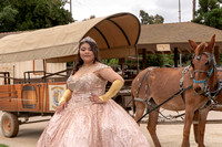 DSC00605